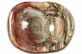 Colorful Polished Petrified Wood Bowl - Madagascar #346835-1